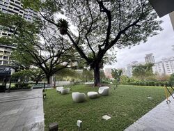 Irwell Hill Residences (D9), Apartment #524905881